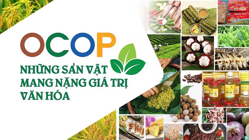 20 sản phẩm OCOP cấp quốc gia (5 sao)